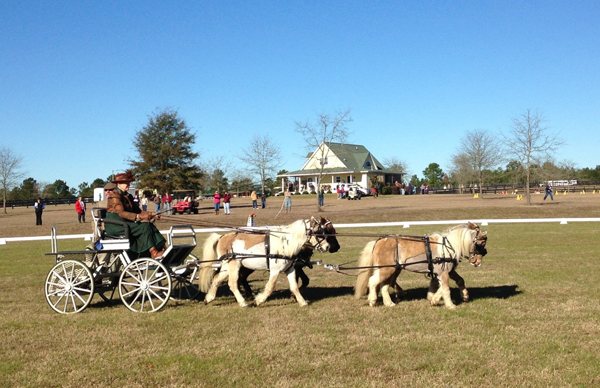 Muffy Seaton carriage driving vacations Aiken South Carolina